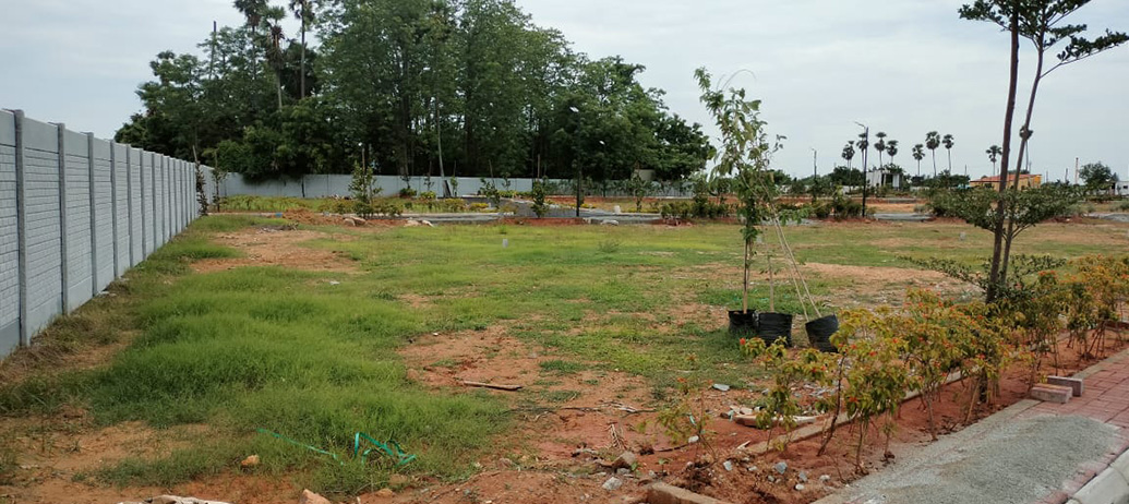 001_urbantreeambercountythirumazhiisaichennaiplotscopy