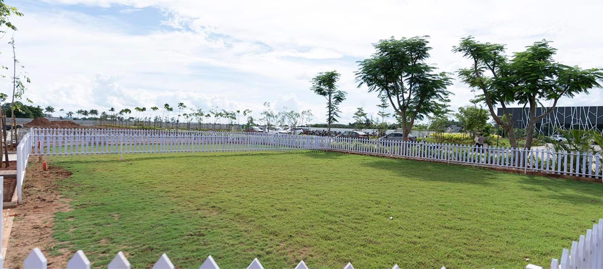 Glimpses of our Launch